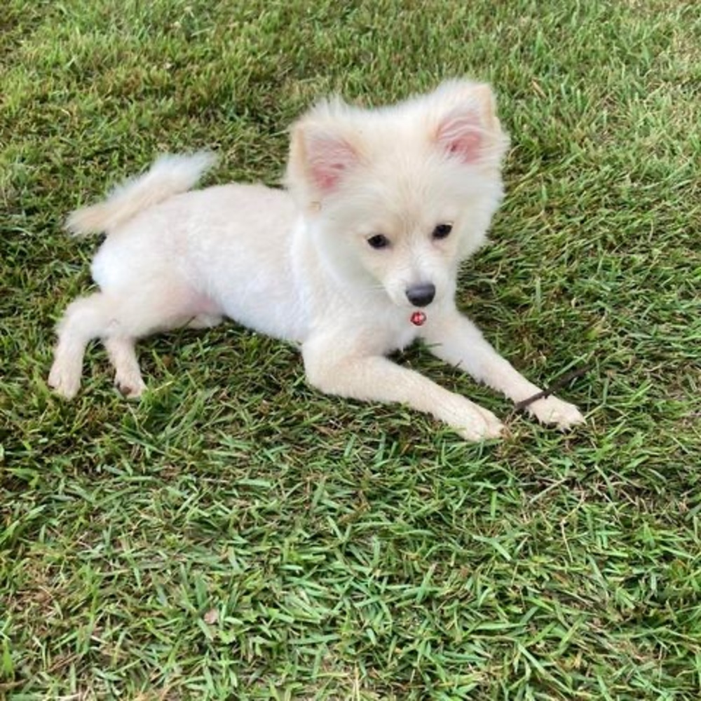 Meet your Posher, Tina